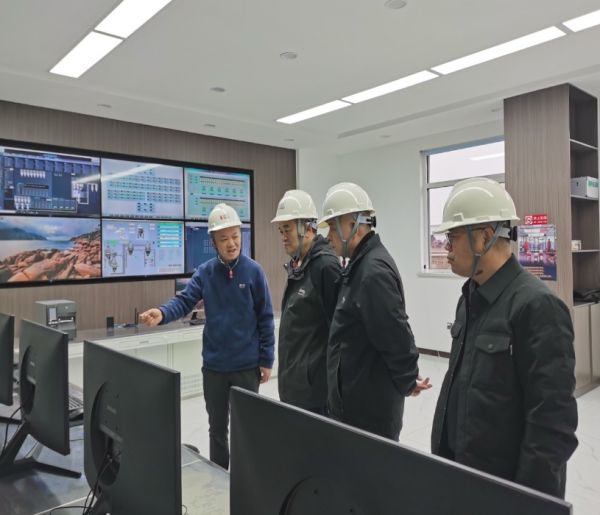 金隆銅業(yè)公司領(lǐng)導到我公司考察</a>